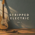 Rose Pond -  Stripped Electric Vol. 1 (Production)